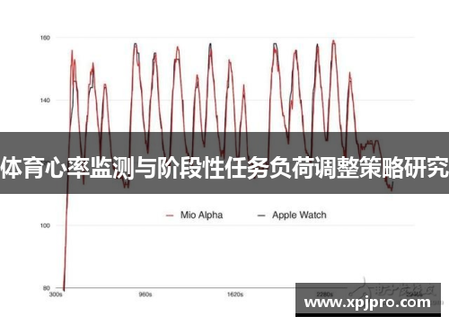 体育心率监测与阶段性任务负荷调整策略研究