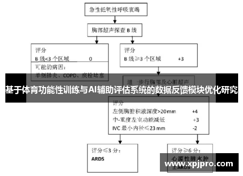 基于体育功能性训练与AI辅助评估系统的数据反馈模块优化研究